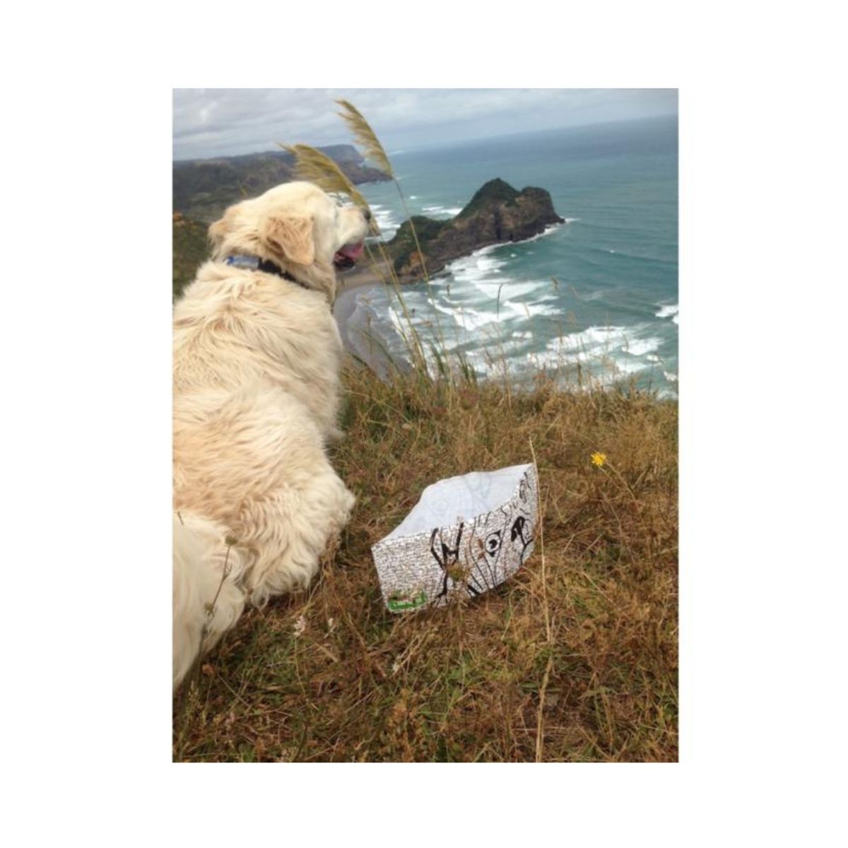 Dog Travel Bowl - Single